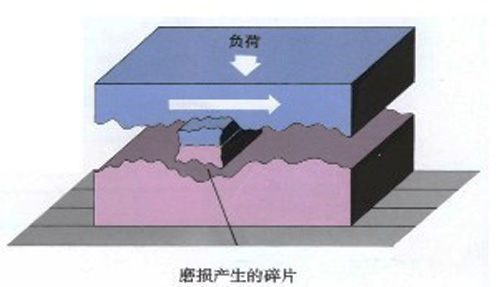 圖2：磨損產(chǎn)品的碎片